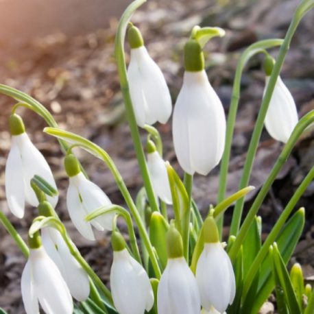 Maximising View As Winter Turns To Spring