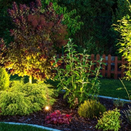 Outdoor lighting to transform your garden